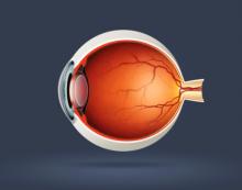 human eye.jpg